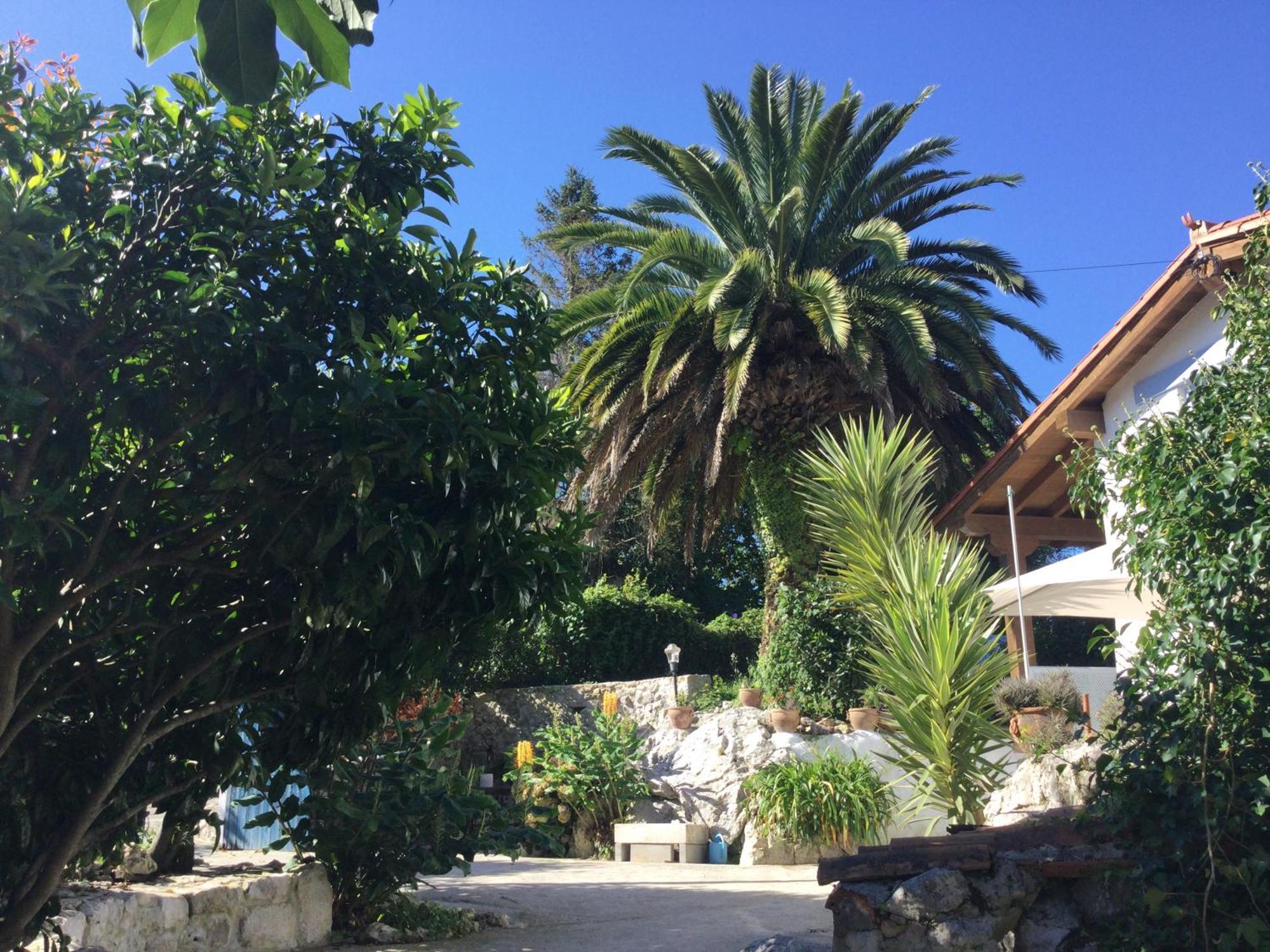 Villa Casa Jardin Rocablanca Llanes Celorio  Exterior foto